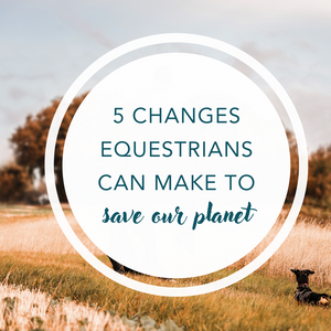 5 changes equestrians can make to save our planet