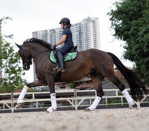Paladin Equestrian: Geometric Jungle Saddle Pad