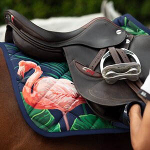 Paladin Equestrian: Blue Flamingo Saddle Pad