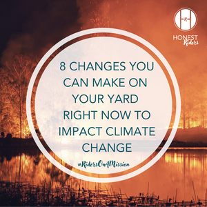 8 changes you can make on your yard right now, to impact climate change