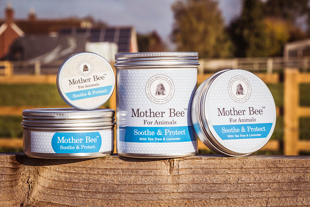 Meet the maker: Cheryl McWilliam | Mother Bee