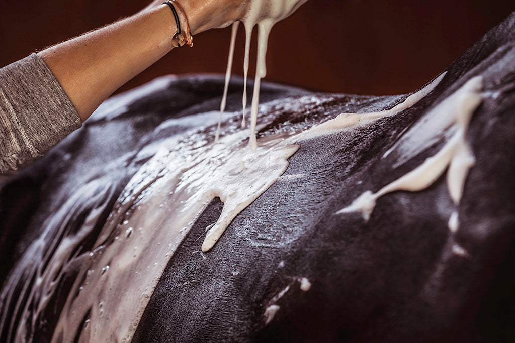 Parabens, sulphates & petro-chemicals - why you should think twice before using them on your horse