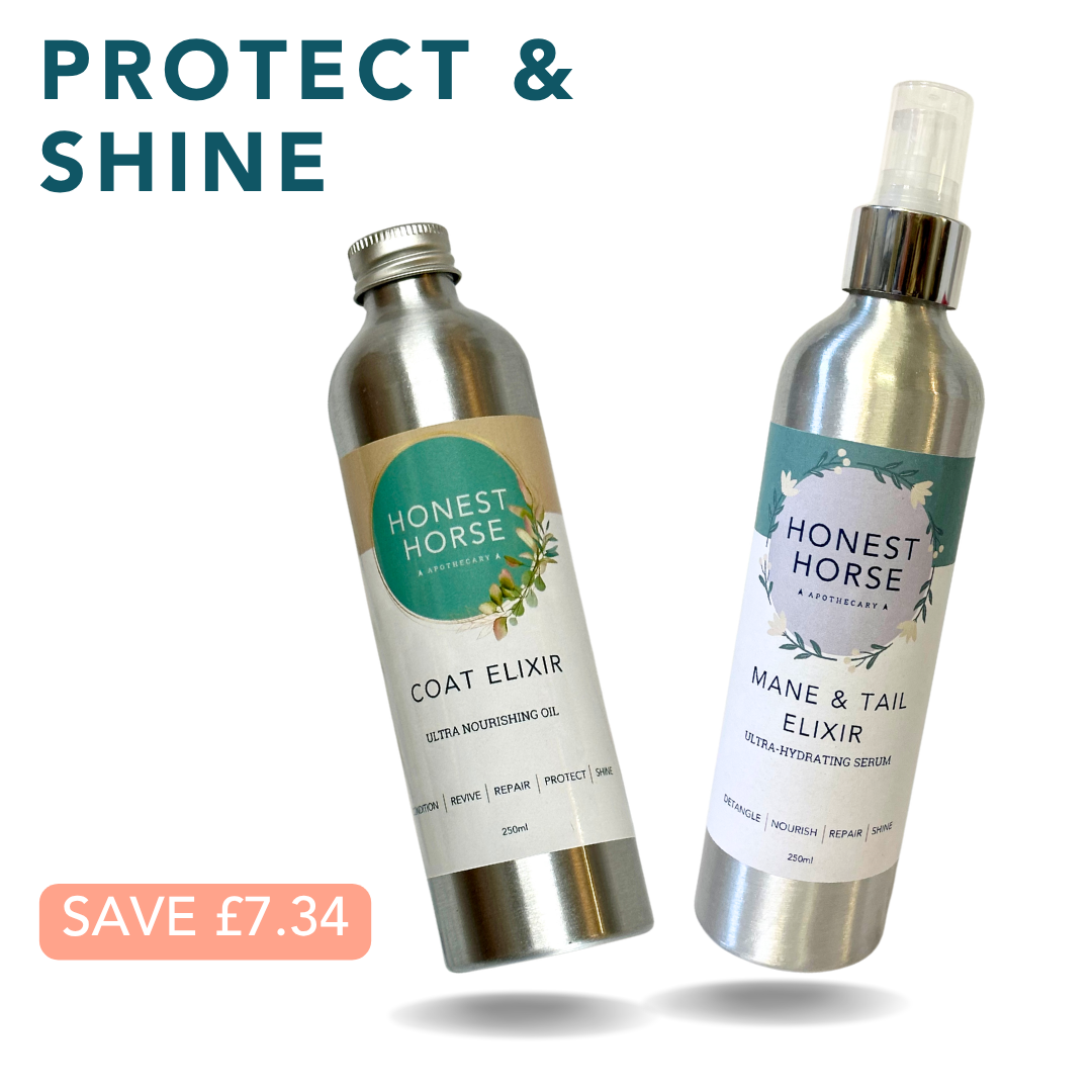 PROTECT & SHINE KIT