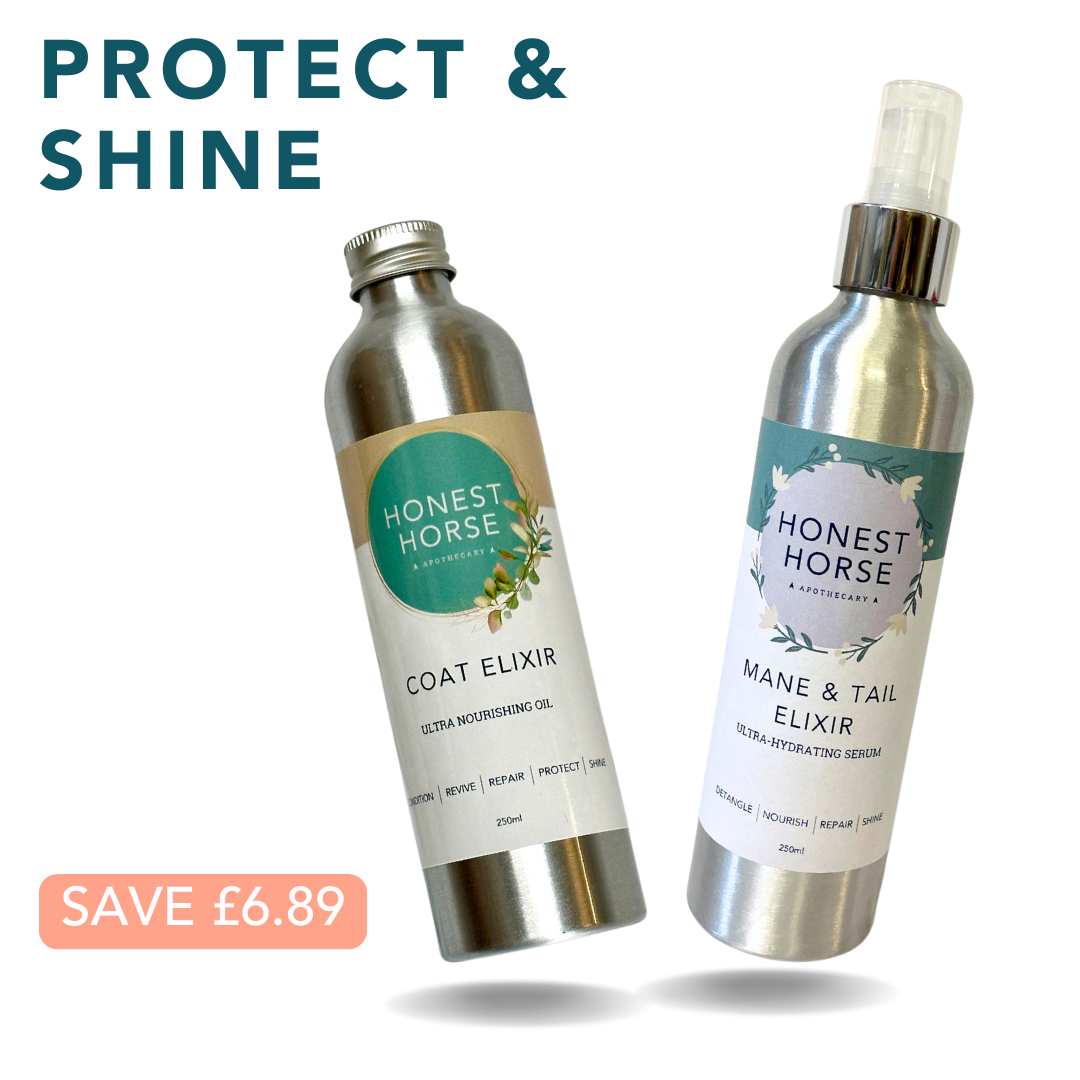 PROTECT & SHINE KIT