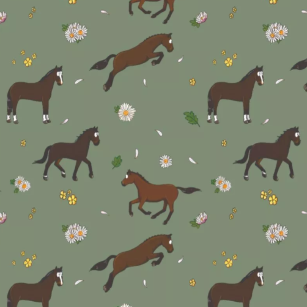 Sustainable Gift Cracker | HUMAN TLC