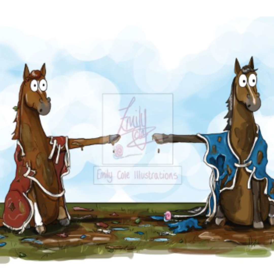 Sustainable Gift Cracker | HUMAN TLC