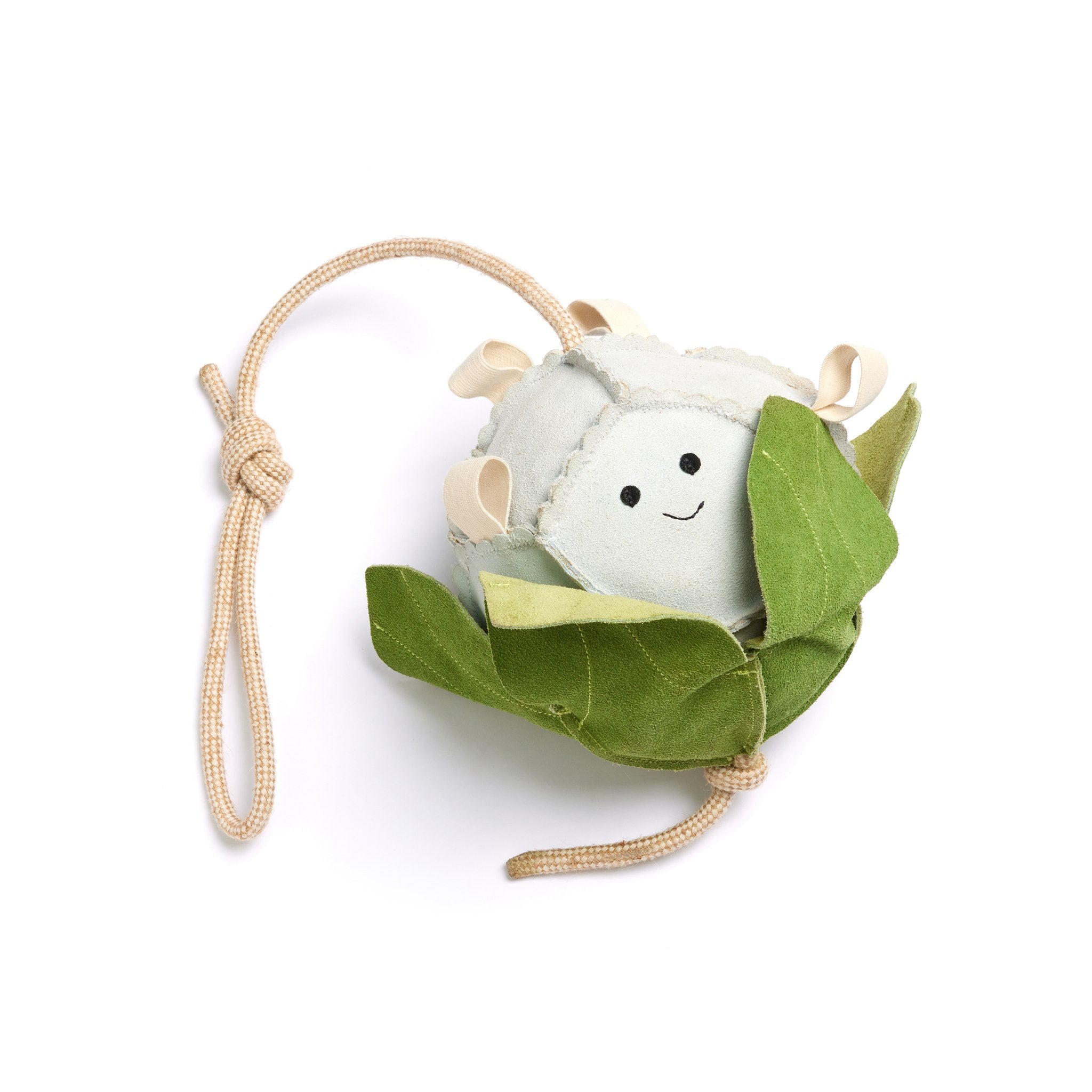 Green & Wilds | Calli the Cauli | Eco Horse Toy
