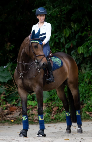 Paladin Equestrian: Peacock Feather Ear Bonnet