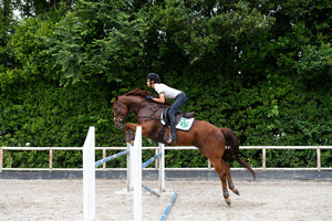 Paladin Equestrian: Banana Leaf Saddle Pad